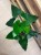 anthurium arrow