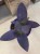 Tradescantia pallida 'Purple Heart' (1).jpg