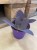 Tradescantia pallida 'Purple Heart' (3).jpg