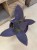 Tradescantia pallida 'Purple Heart' (4).jpg