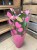 Anthurium 'Nano Pink' (7).jpg
