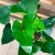 anthurium arrow.jpg