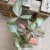 syngonium trileaf pink (3).jpg