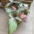 syngonium trileaf pink (6).jpg