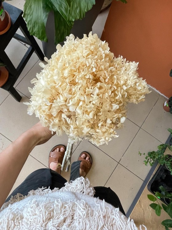 Hortensja (hydrangea) stabilizowana - wybielana WYBIELANA -Bukiet (6).jpg