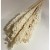 Sorgo millo suszone (Sorghum) – bielone, bukiet 10 sztuk, A10  (8).jpg