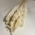 Sorgo millo suszone (Sorghum) – bielone, bukiet 10 sztuk, A10  (10).jpg