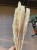 Sorgo millo suszone (Sorghum) – bielone, bukiet 10 sztuk, A10  (4).jpg