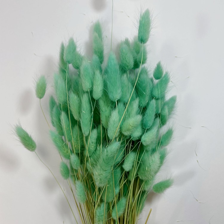 Dmuszek jajowaty (Lagurus) – 60 cm Miętowy (9).jpg