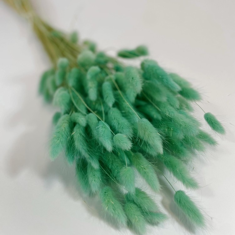 Dmuszek jajowaty (Lagurus) – 60 cm Miętowy (10).jpg