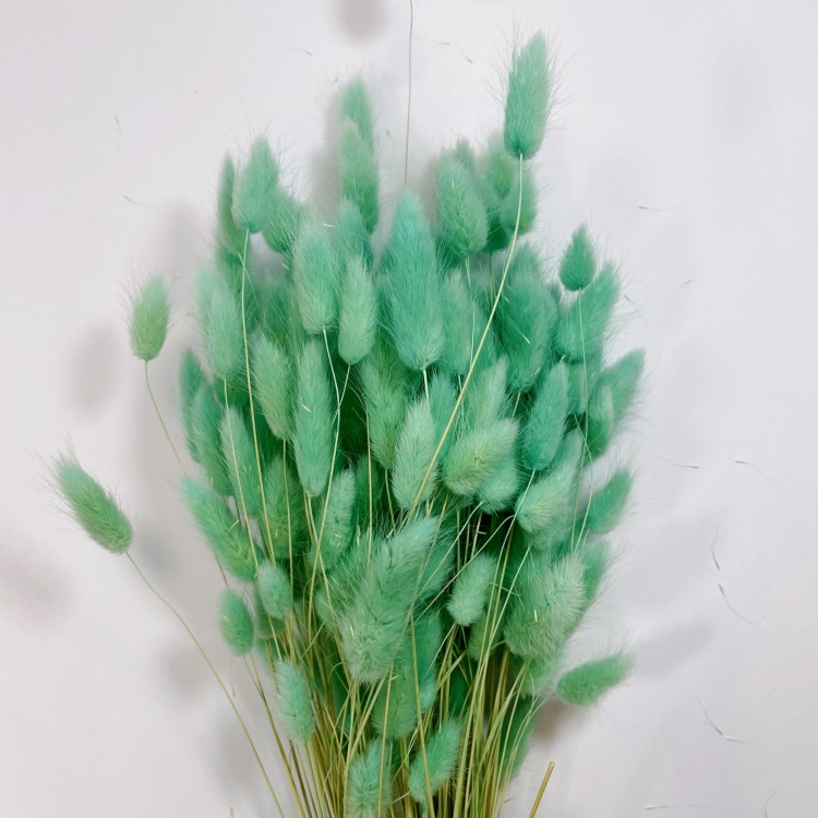 Dmuszek jajowaty (Lagurus) – 60 cm Miętowy (3).jpg