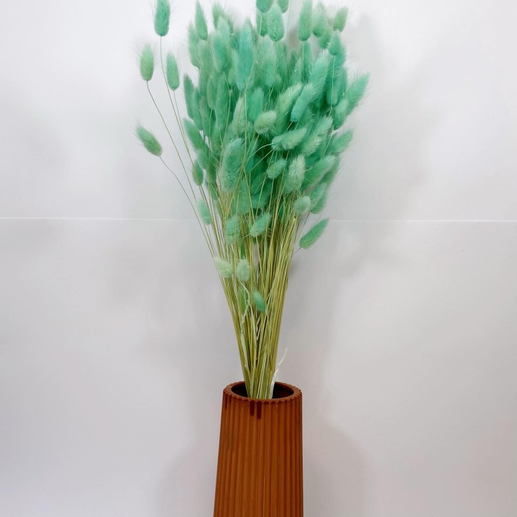 Dmuszek jajowaty (Lagurus) – 60 cm Miętowy (6).jpg