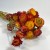 Kocanka Suszona (Helichrysum) – Czerwona (2).jpg