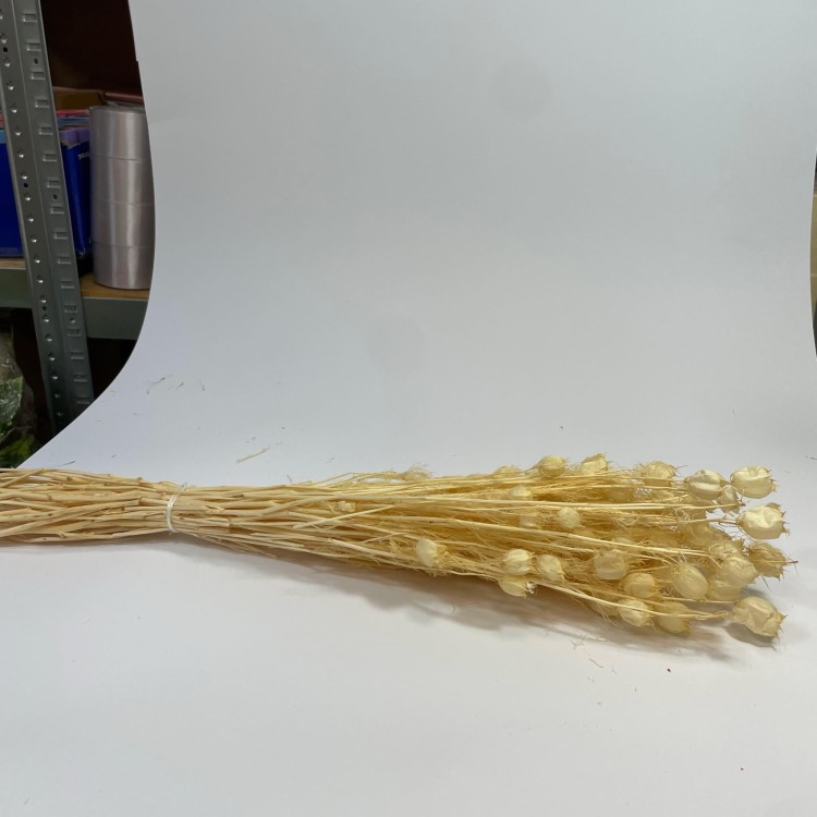 Czarnuszka Suszona (Nigella Damascena) - Bielona (3).jpg