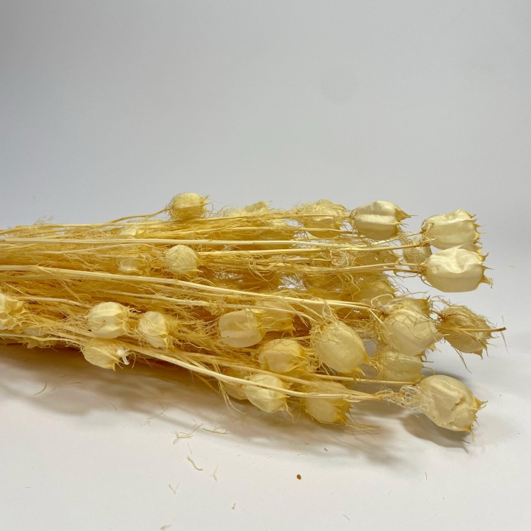 Czarnuszka Suszona (Nigella Damascena) - Bielona (4).jpg