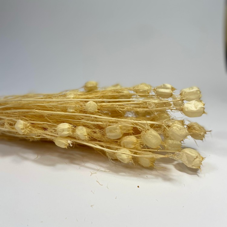 Czarnuszka Suszona (Nigella Damascena) - Bielona (5).jpg