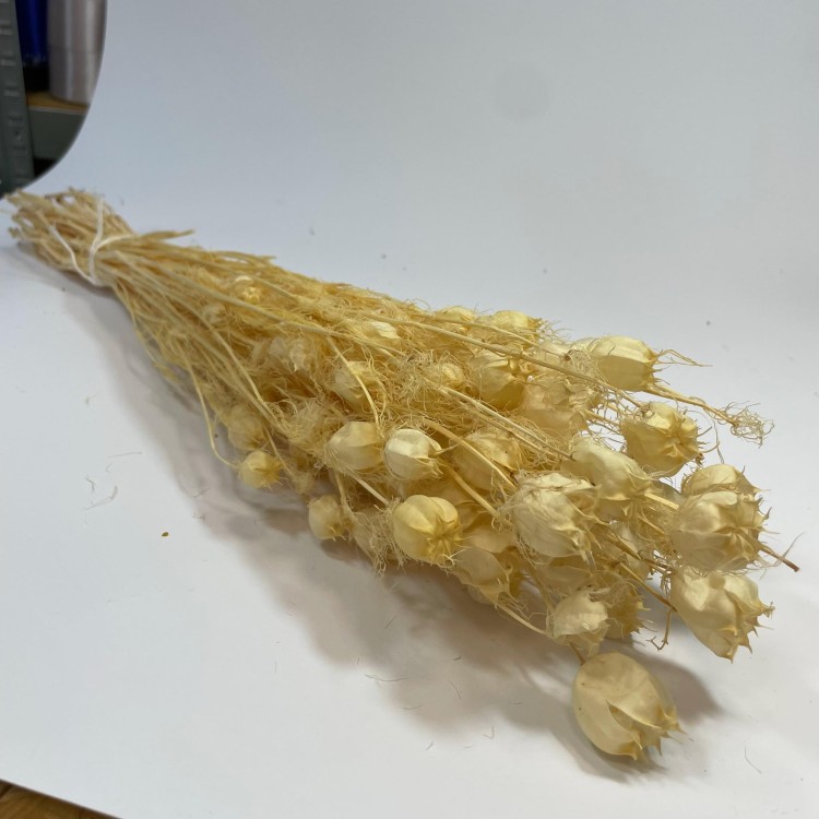 Czarnuszka Suszona (Nigella Damascena) - Bielona (8).jpg