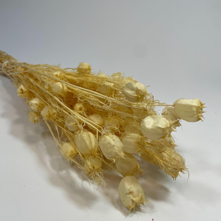 Czarnuszka Suszona (Nigella Damascena) - Bielona (9).jpg