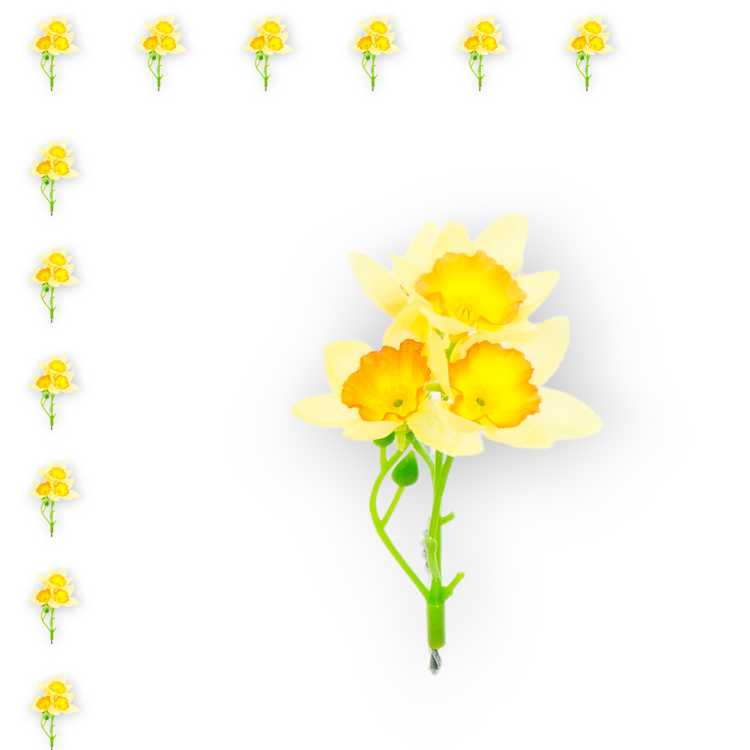 H19A-01-02-1_12szt.png