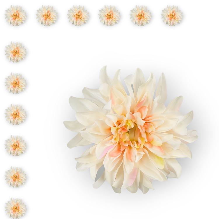 W149-54-01-1_12szt.png