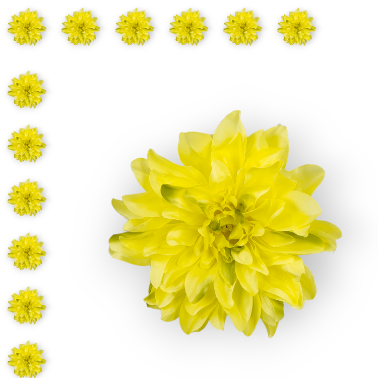 W149-70-01-1_12szt.png