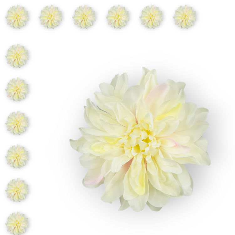 W149-22-01-1_12szt.png