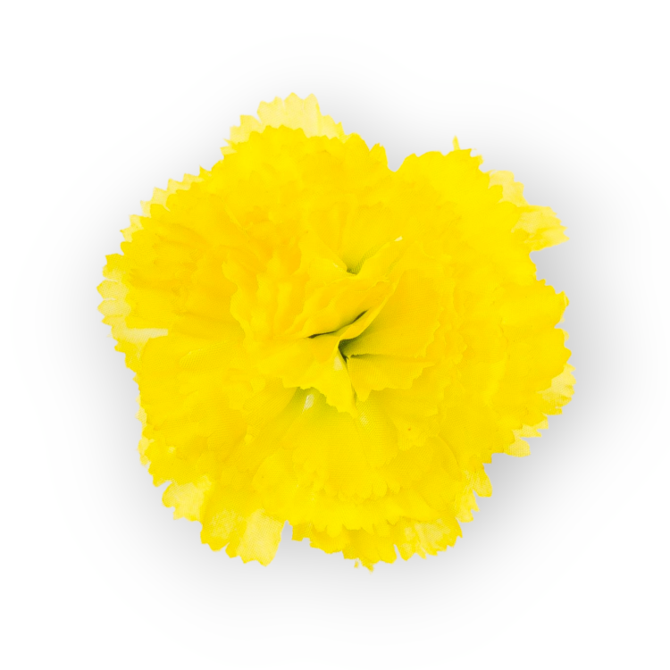 W110-85-01.png