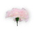 W110-17-02-1.png