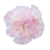 W110-17-01-Photoroom.png