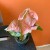 syngonium neon robusta  zroślicha rożowa   (2).jpg