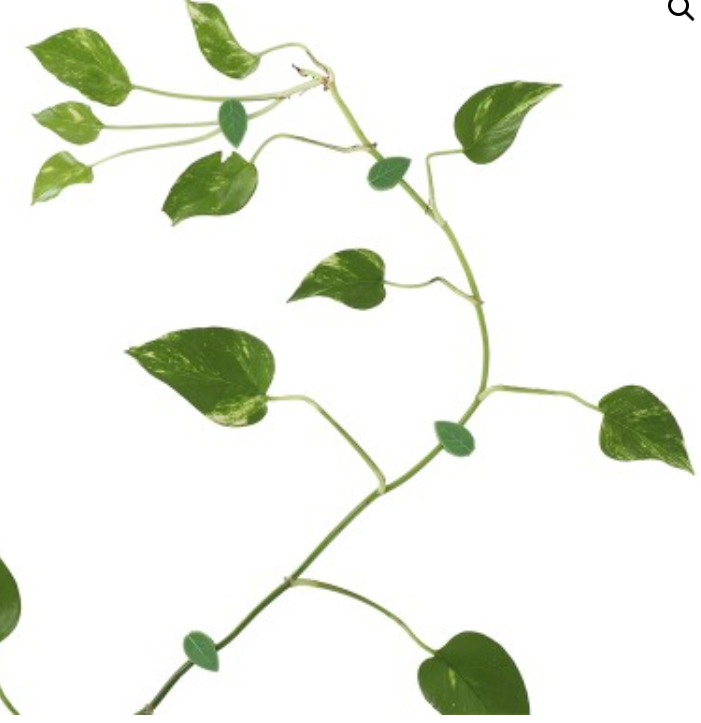 Zrzut ekranu 2024-08-02 204426.png