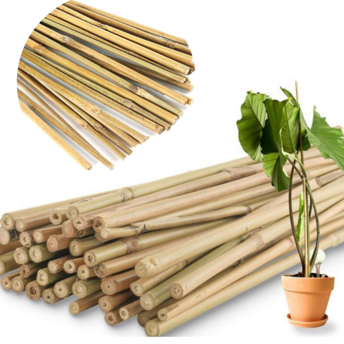 Projekt bez nazwy (16).png