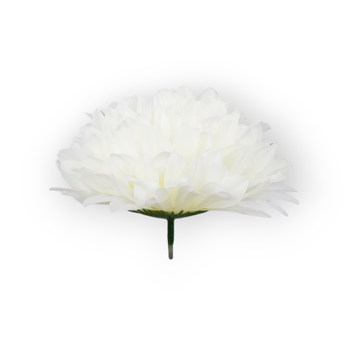 D77-02-02-3.png
