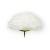 D77-02-02-3.png