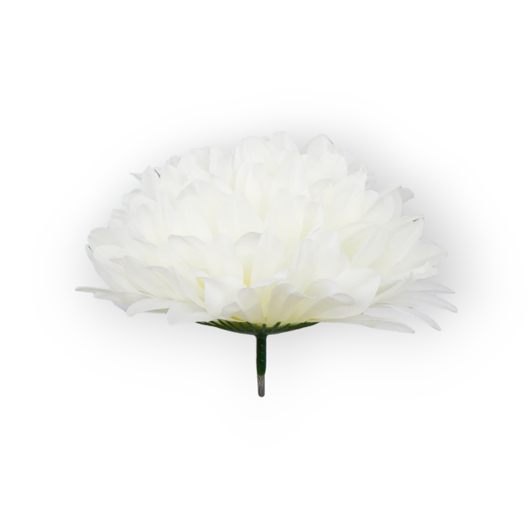 D77-02-02-3.png