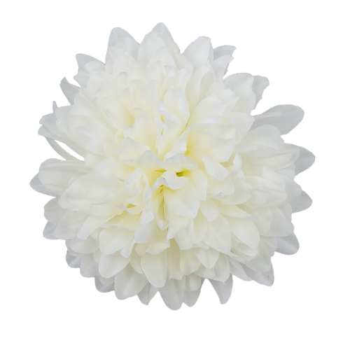 D77-02-01-Photoroom.png