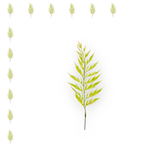 FB501-02-02-3_12szt.png