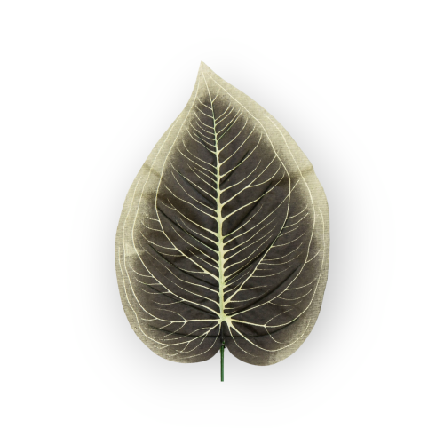 S316-01-02-scaled-1(1).png