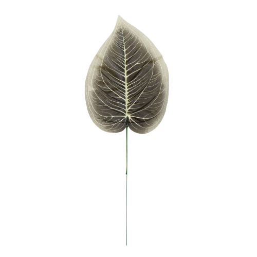 S316-01-01-scaled-Photoroom.png