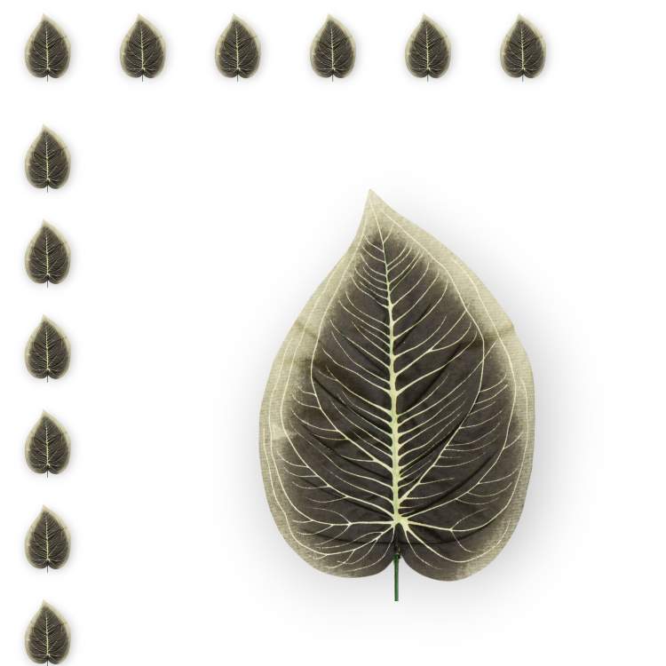 S316-01-02-scaled-1(1)_12szt.png