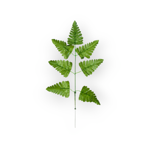S523-01-01-1(1).png