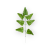 S523-01-01-1(1).png
