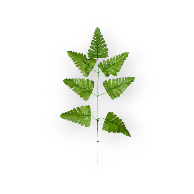 S523-01-01-1(1).png