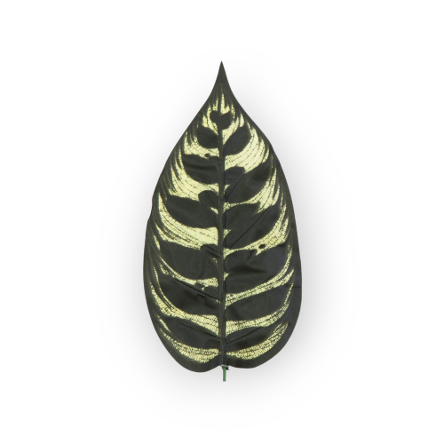S317-01-02-scaled-1(1).png