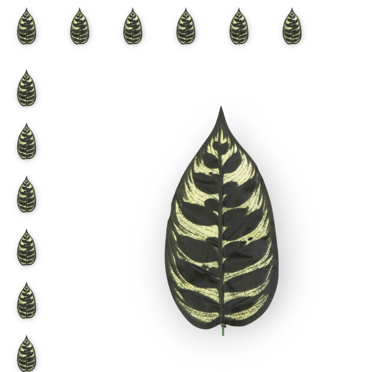 S317-01-02-scaled-1(1)_12szt.png