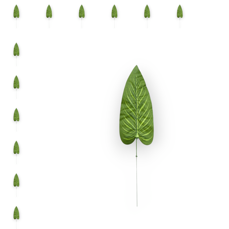 S681-01-01-1(1)_12szt.png