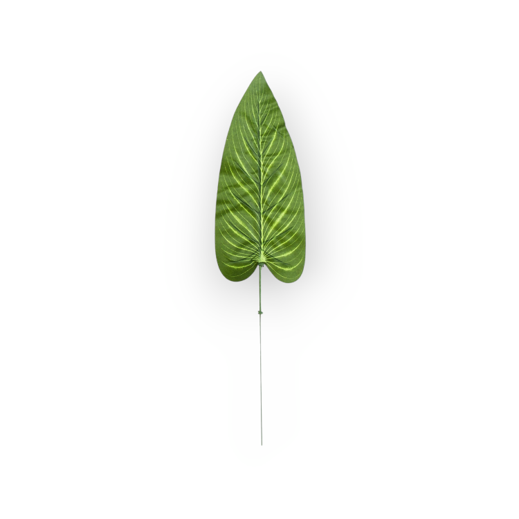 S681-01-01-1.png