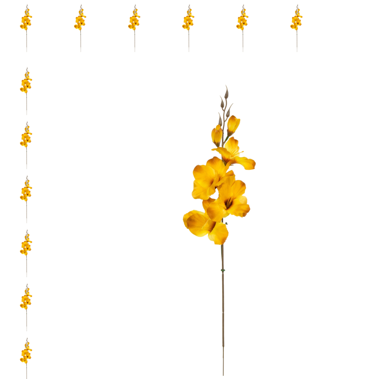 W183-50-01-Photoroom_12szt.png