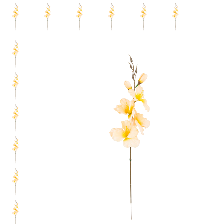 W183-51-01-Photoroom_12szt.png