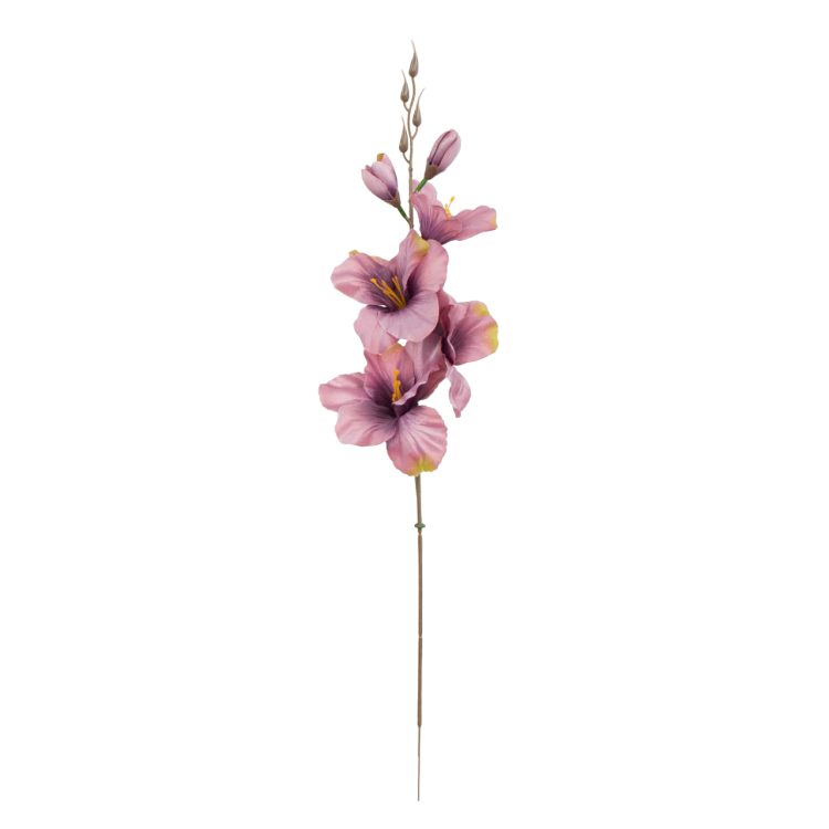 W183-58-01-Photoroom.png